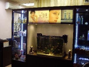 Beauty Salon Gallery